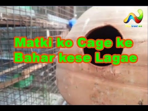 camera iphone 8 plus apk how to hang breeding box out of cage || Matki ko cage ke bahar kese Lagae. URDU/HINDI
