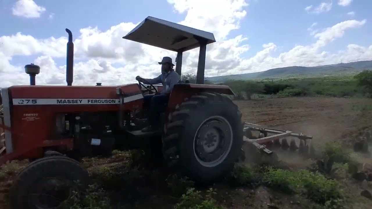 Cortando o terreno pra plantar palmas 