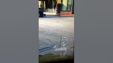 Map 3 wrong rules before they dropped host