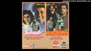 Pehchaan - Sanam O Sanam