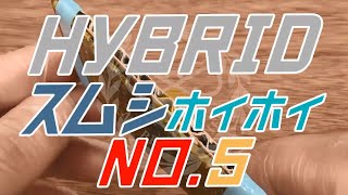 ついに完成？ 面白いほどスムシが捕れる？ 日本蜜蜂の巣をスムシから守る史上最強のハイブリッド スムシホイホイ 5作目