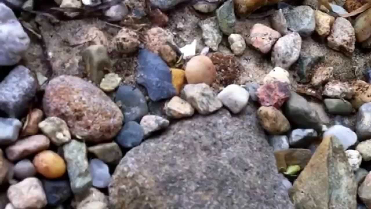 Arrowhead hunt in Massachusetts YouTube