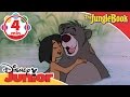 The Jungle Book | The Bare Necessities Song | Disney Junior UK
