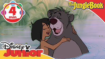 Thumbnail of The Jungle Book | The Bare Necessities Song | @disneykids