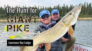 The Hunt For Giant Pike  Lawrence Bay Lodge On Reindeer Lake