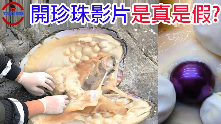 [生物放大鏡]讓討海人一夕致富的深海"珍"寶 | 開珍珠影片都是假的!?? | 1天賺上億元真的可能? - 天天要聞