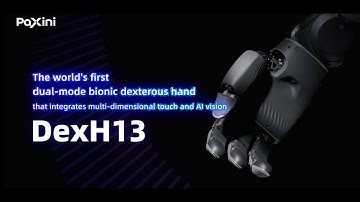 #PaXini   The industry