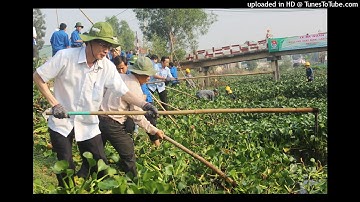 Ơi cuộc sống mến thương - Sáng tác: Nguyễn Ngọc Thiện - Biểu diễn: Thanh Phương