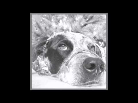 30-shades-of-gray-dogs---coloring-book-for-adults