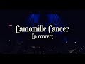 Capture de la vidéo Camomille Cancer / En Concert