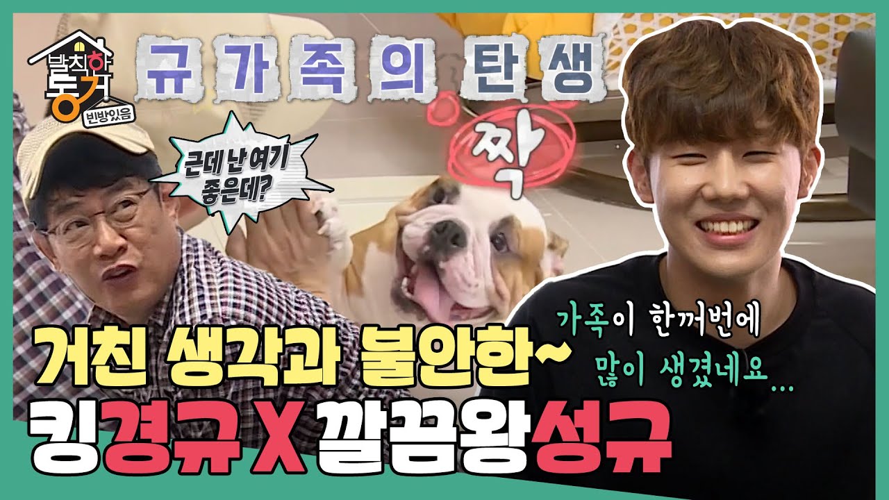 [발칙한 동거] (킹경규+🐶두 마리)와 함께 할집사가…성규라규?! 🎉규가족의 탄생🎉 MBC20171208방송