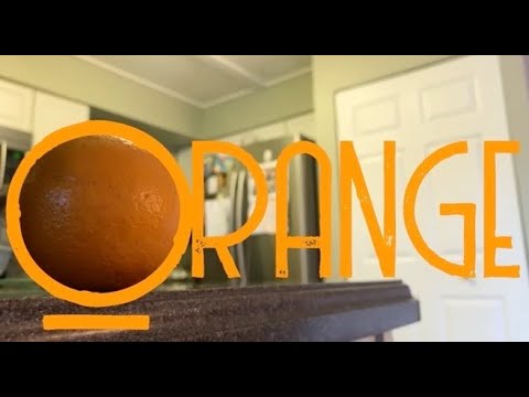 Orange: A Notre Dame Pre-College Summer Scholars Online Film