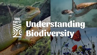 Understanding Biodiversity | Voice of Soul Forest
