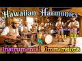 Hawaiian Harmonies Part 23 Peaceful Serene Pedal Lap Steel Guitar Instrumental Immersions Hawaiian Harmonies Part 23 Peaceful Serene Pedal Lap Steel Guitar Instrumental Immersions