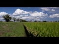 Magic Lantern EOS 6D RAW Video Test - Autumn of the rice field