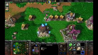 Warcraft III - Random Team 4v4 (2025.03.02) - Random(Human) Play