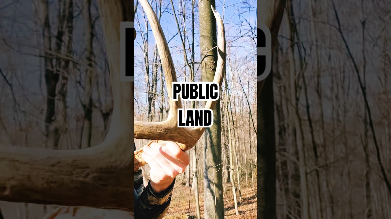 Ohio public land shed 