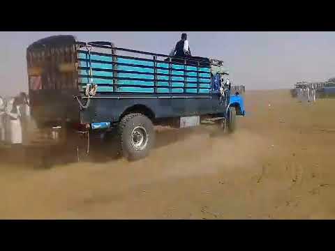 باهوايا حفظة اللة زواج اولاد دامر الف مبروك