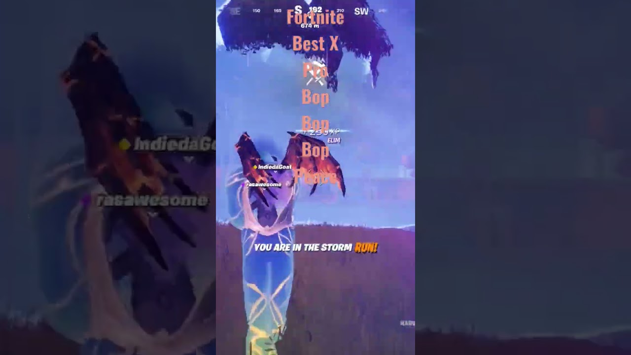 Fortnite Best X Peace Bop Silent Kill 