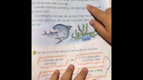 Đọc bài cá măng lạc mẹ 2-Sách giáo khoa Tiếng Việt lớp 1 tập 1- Nguyễn Hải Đăng Vlog