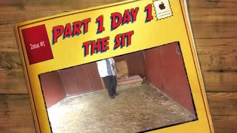 Training a mini horse to sit.  Day 1, Part 1