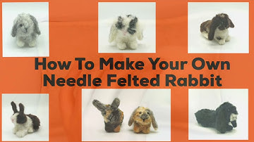 Beginners Guide To Felting: How to Make a Needle Felted Rabbit