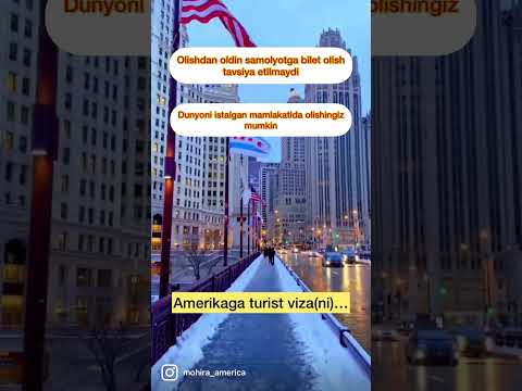 AMERIKAGA TURIST VIZA