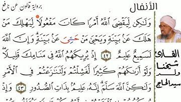 08 سورة الأنفال للشيخ المقرئ شيخنا ولد سيد الحاج حفظه الله