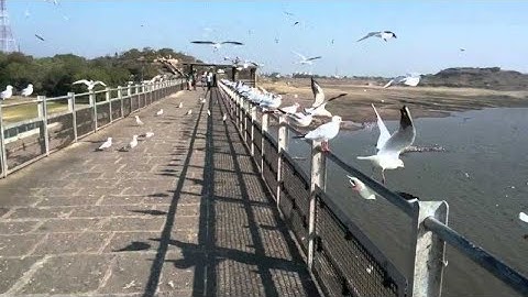 first vlog in aaji dem rajkot #rajkot  #vlog #rajkot #vinod