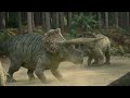 Triceratops Fight