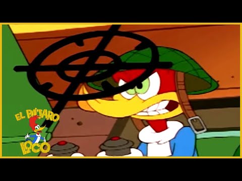 El Pajaro Loco