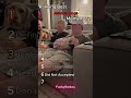 Ranking Best Jealous Dogs Moments!
