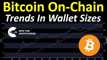 Bitcoin On-Chain Analysis: Trends In Wallet Sizes