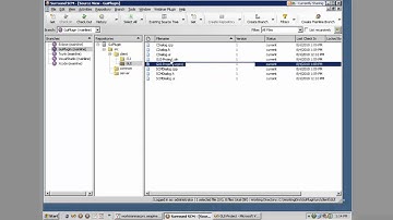 Custom Surround SCM Client Menus