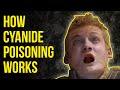 How Cyanide Poisoning Works