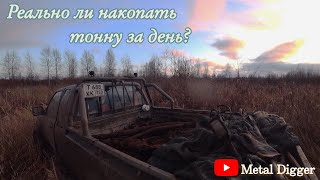 Траковое поле! С весны не было таких мест с кучей траков