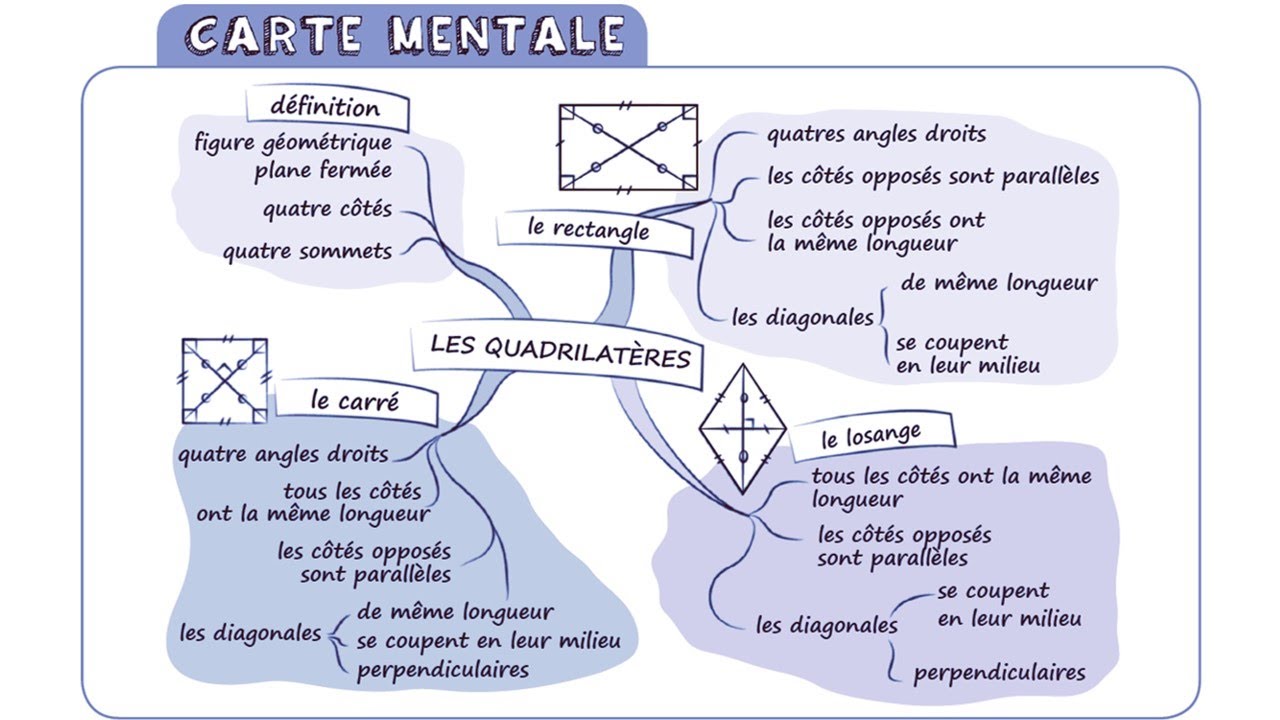Correction de l'exercice 5 , La carte mentale de quadrilatères