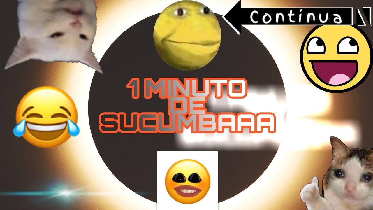 11 TIPOS DE SUCUMBA COM UM BÔNUS - YouTube