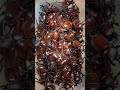 [大型赤カブトムシ150匹採集】#昆虫採集#クワガタ採集 #カブトムシ採集  #昆虫 #クワガタとカブトムシ #カブトムシ #夏 #虫捕り #おすすめ  #insects #f #fyp #fypシ
