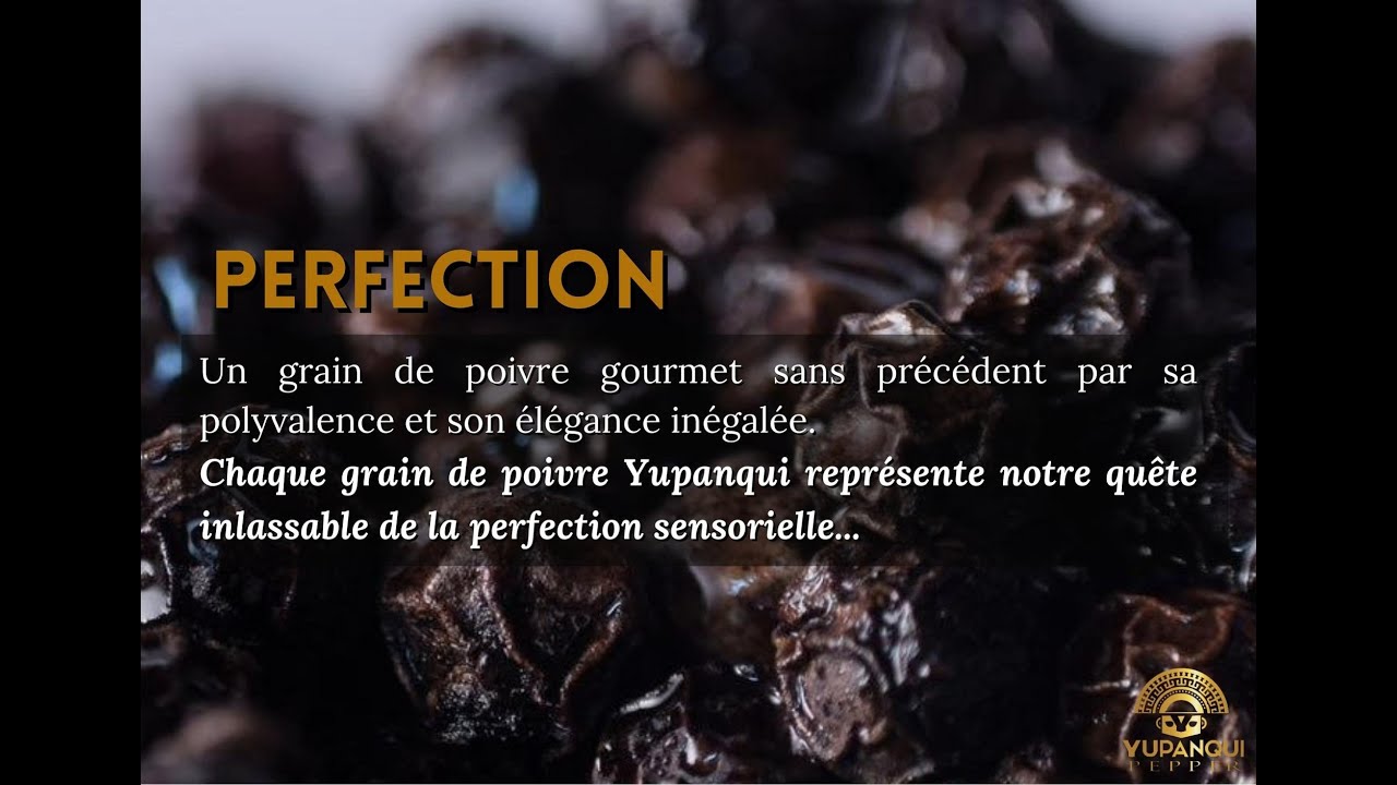 L'origine du meilleur poivre au monde, le POIVRE YUPANQUI.