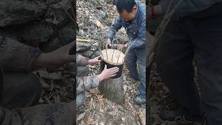 The pen is hindered to produce 12 types of fruit on the same tree