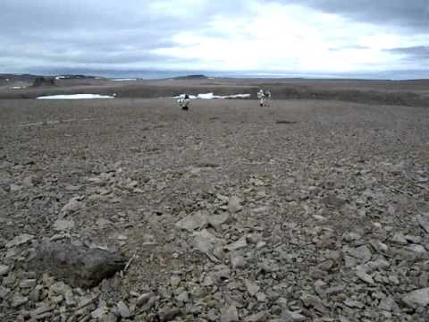 FMARS 2009 - EM Experiment Deployed on Haynes Ridge