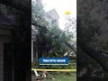 Hurricane Isaias leaves destruction along the East Coast as Rachel floods Las Vegas | Morning Minute
