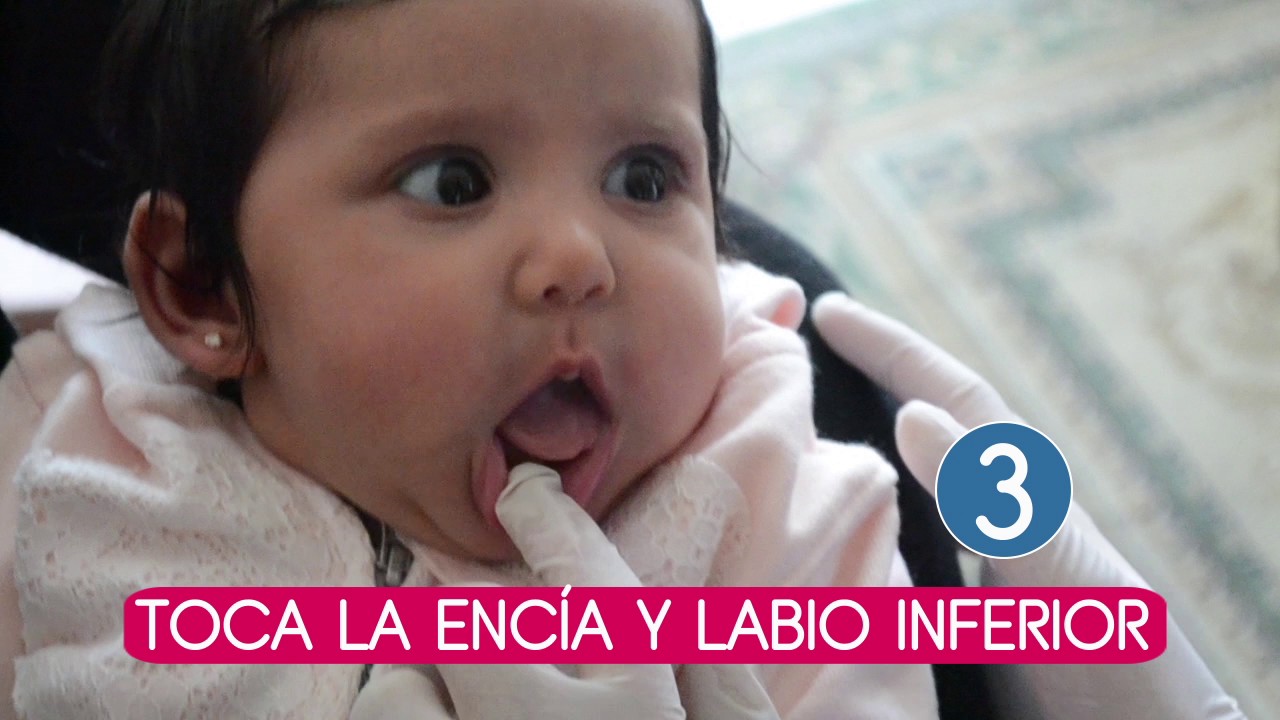 Ejercicio de apertura oral y descenso lingual para lactantes