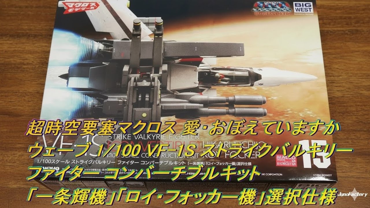 本日届いた ウェーブ 1/100 VF-1S ストライクバルキリー ファイター