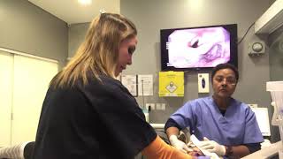 Endoscopia Digestiva Alta Completa, Sob Sedação