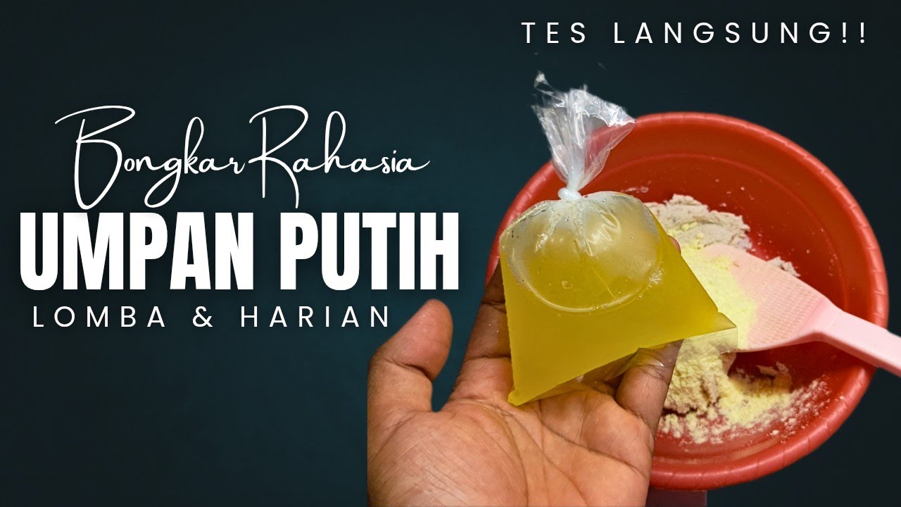 Umpan Putih Ikan Mas Terbaru 2025‼️Gacor di Air Hijau & Keruh ⭕