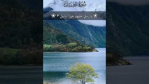 part 12 #Quran ❤️#islamic video