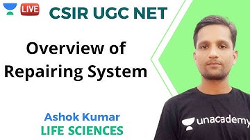 Overview of Repairing System | Life Sciences | Unacademy Live - CSIR UGC NET | Ashok Kumar