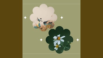 Modern Backdrops for Calming Clarity